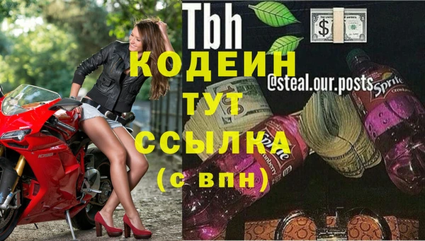 прущий лед Шали