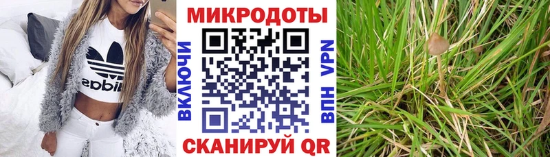 Галлюциногенные грибы Psilocybe  Юхнов 