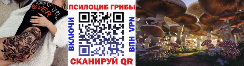 Псилоцибиновые грибы Psilocybe Юхнов